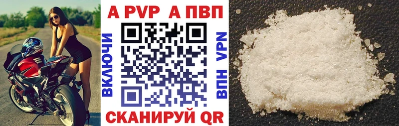 A PVP СК  Тимашёвск 