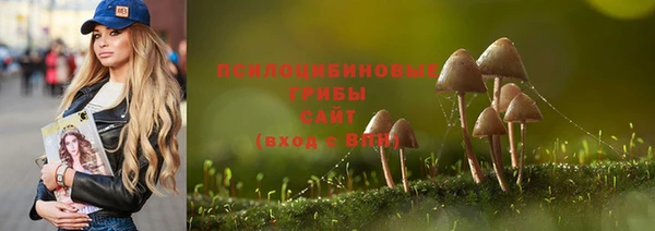 ПСИЛОЦИБИНОВЫЕ ГРИБЫ Абинск
