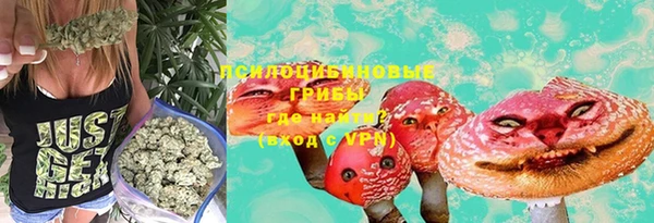 героин Абаза
