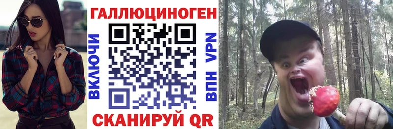 что такое Тимашёвск Псилоцибиновые грибы Magic Shrooms